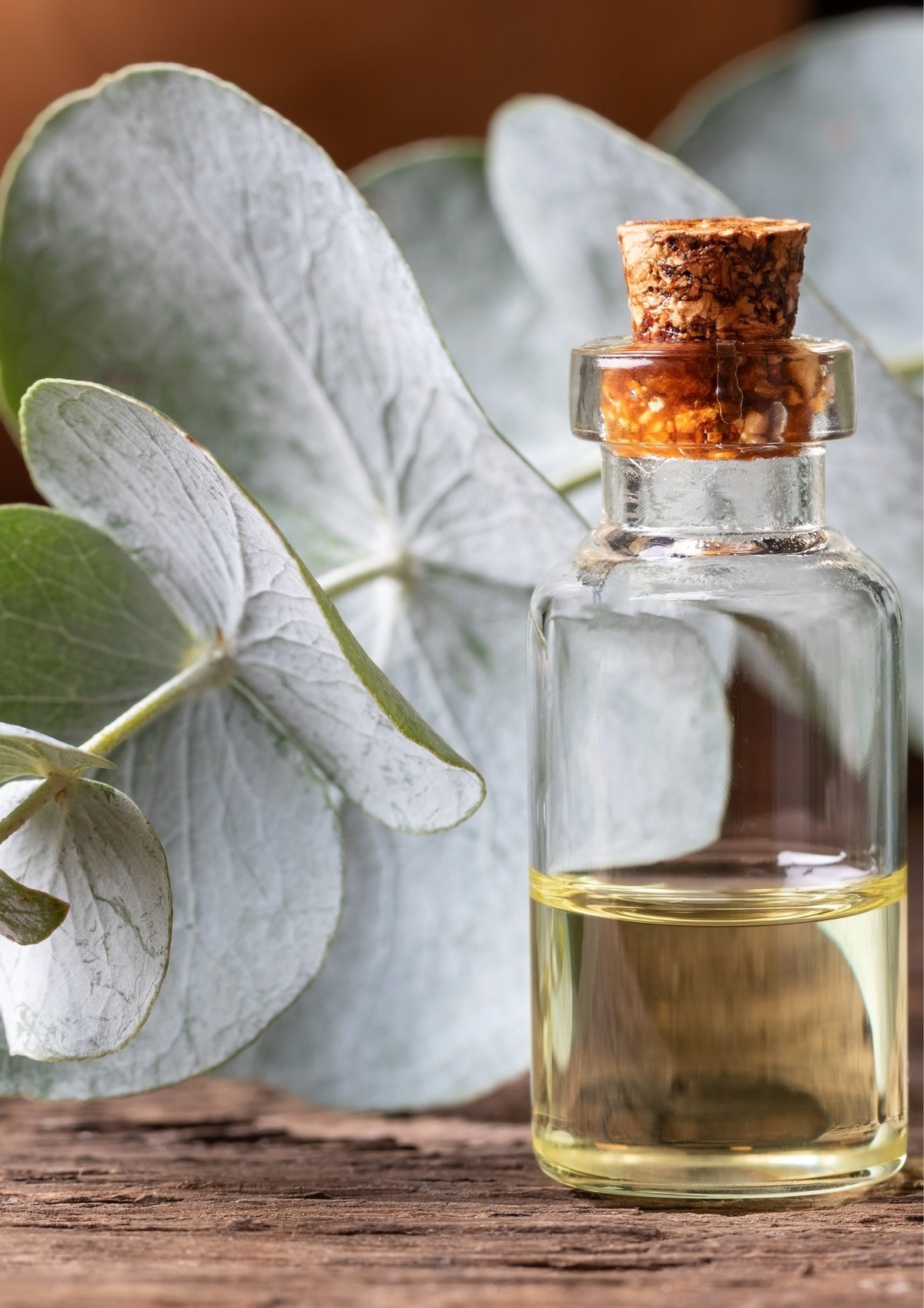 eucalyptus olej