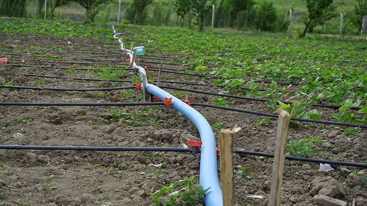 a landscaped garden with drip system, made with the drip-watering systems garden,