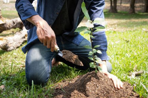 low-section-man-working-field