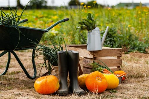 Gartenarbeit-im-Oktober-bereiten-Sie-Ihren-Garten-fur-den-Winter-vor