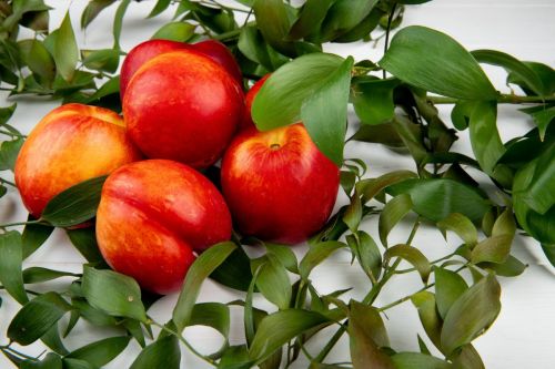 side-view-fresh-ripe-nectarines-with-green-leaves-white