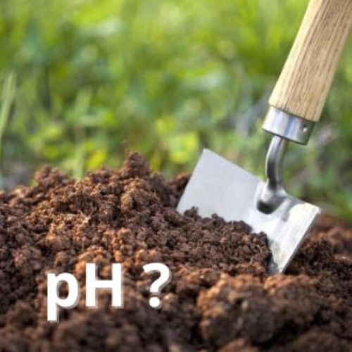 pH pôdy je číslo alebo číselný údaj, ktorý v chémii vyjadruje vlastnosti vodného roztoku. Konkrétne 