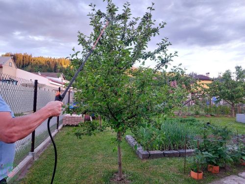 Postrekujte skoro ráno alebo neskoro večer, aby ste predišli páleniu rastlín v dôsledku slnka a mini