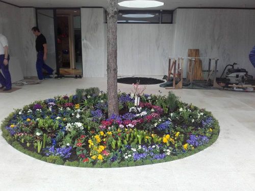 Výsadba okrasnej časti rodinného domu