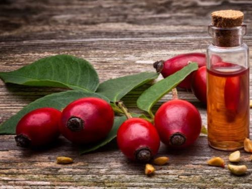  Šípková tinktúra sa tradicionalisticky používala na rôzne účely vďaka svojim potenciálnym zdravotný