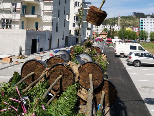 Realizácia verejnej zelene - obytná zóna Kamence - Kysucké Nove Mesto