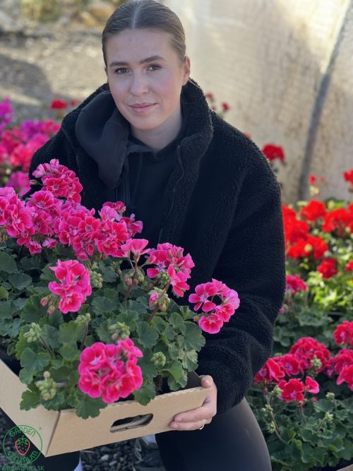U nás na predajni Vám s radosťou a úsmevom pomôžu naše dievčatá pri výbere správných rastliniek.