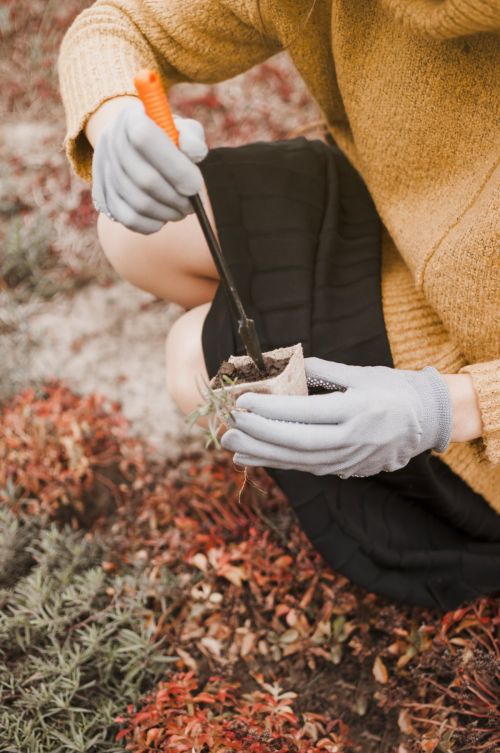 gardener