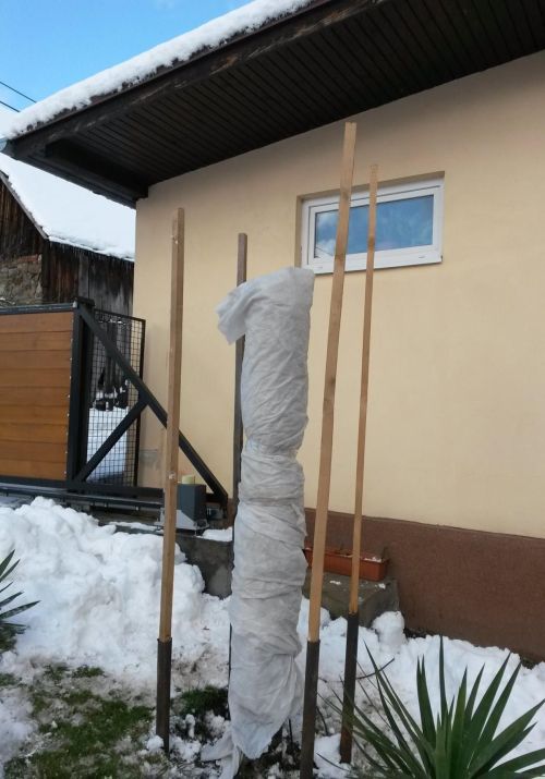 zimovanie