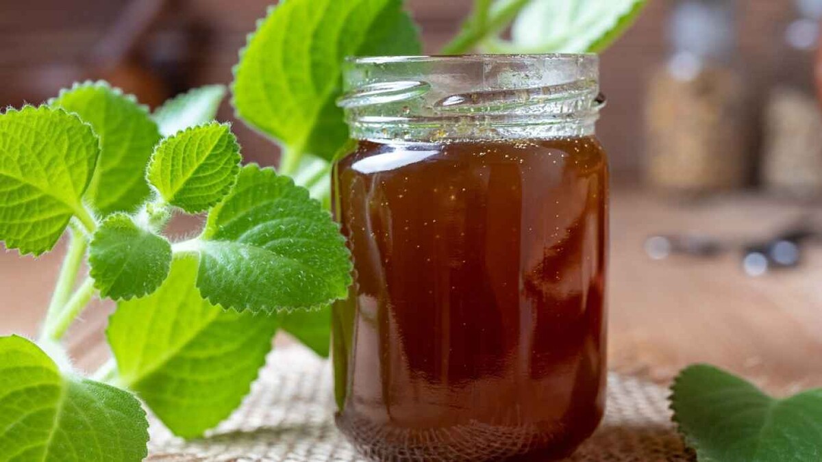 nadchovnik sirup